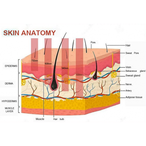 Апарат для фотоомолодження шкіри та видалення волосся AVIVA